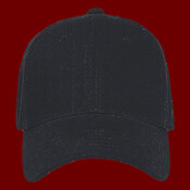 OTTO CAP 6 Panel Low Profile Baseball Cap